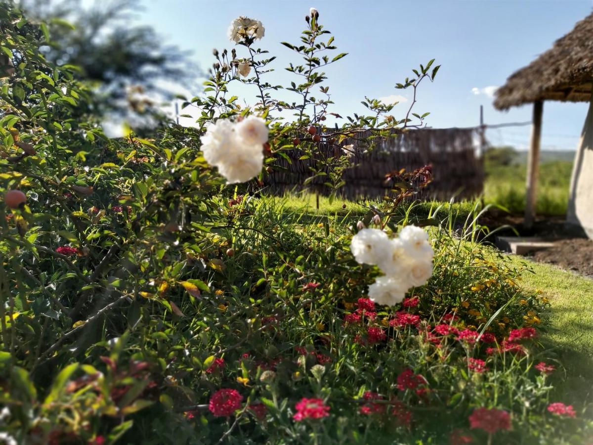 Kutoka Lodge Arusha Dış mekan fotoğraf